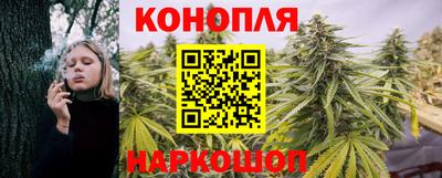 СК Кунгур