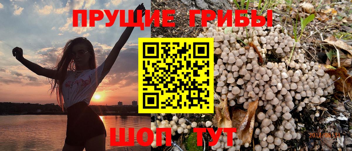 Псилоцибиновые грибы Magic Shrooms  Галлюциногенные грибы MAGIC MUSHROOMS  Вход с VPN  Химки 